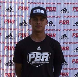Sebastian Pollo Flores