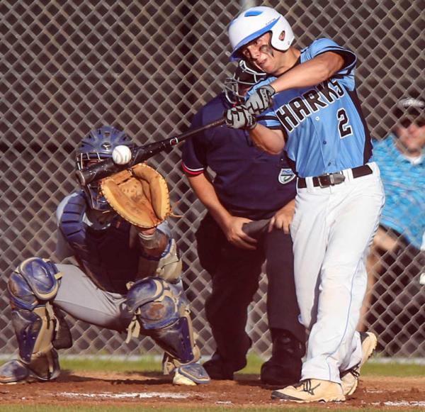 Chase Hannemann