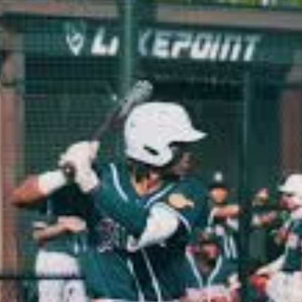 Trenton Maybin