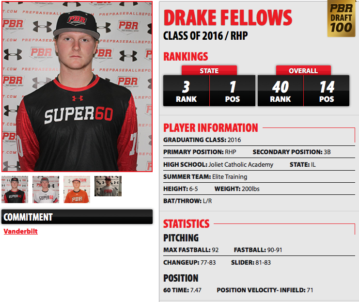 Drake Fellows